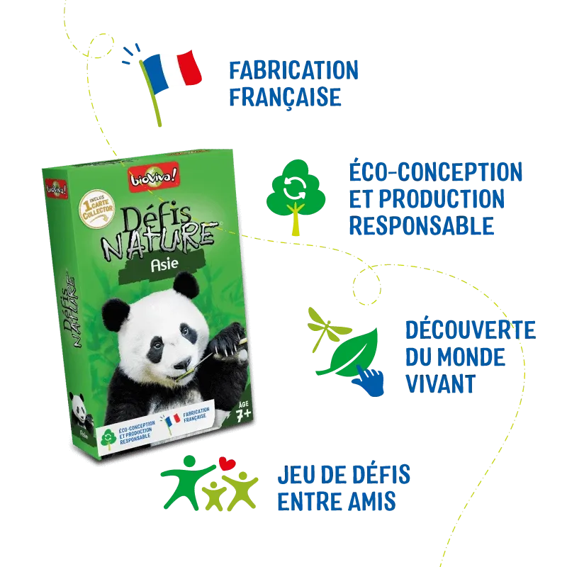 defis-nature-asie (5).webp