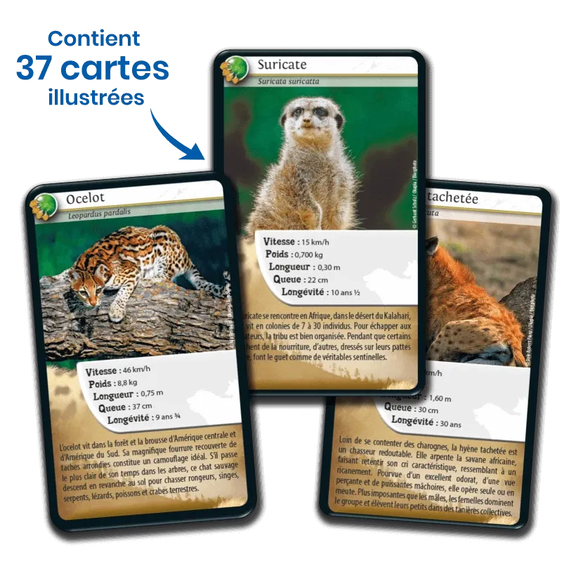 defis-nature-carnivores (3).webp