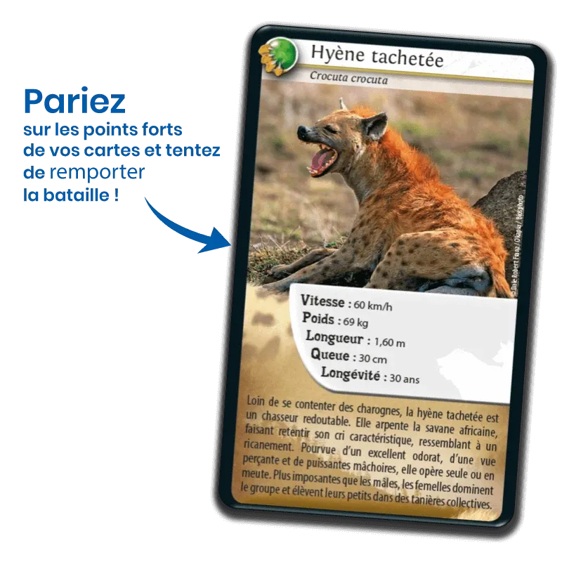 defis-nature-carnivores (2).webp