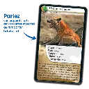 defis-nature-carnivores (2).webp