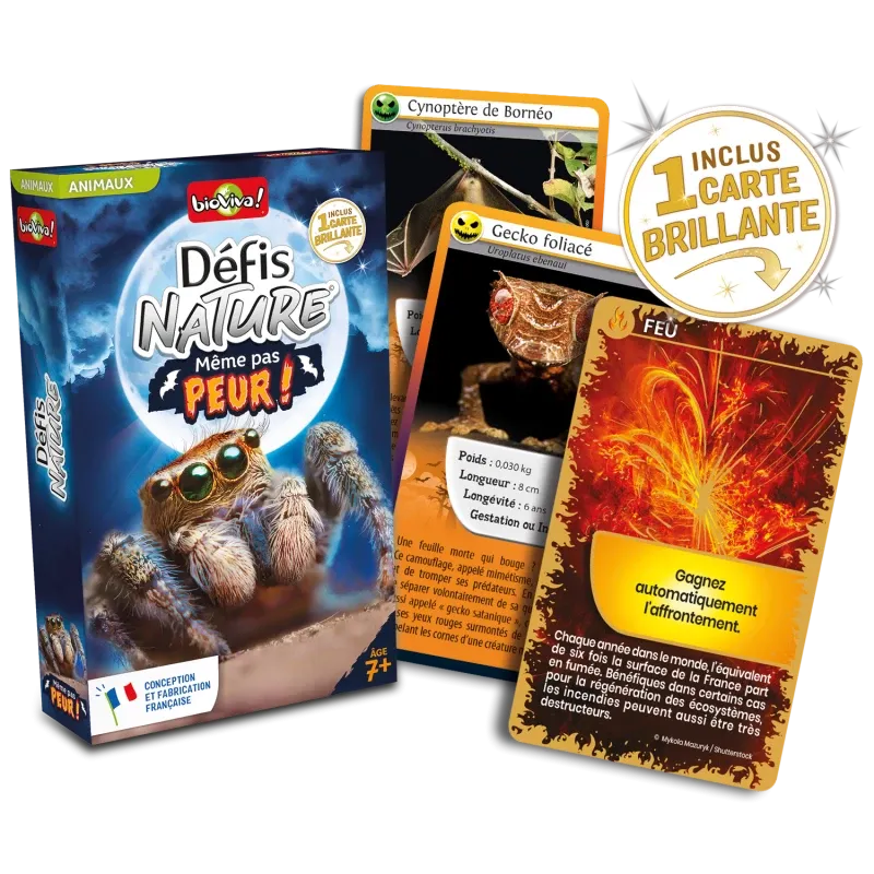 defis-nature-meme-pas-peur- (1).webp
