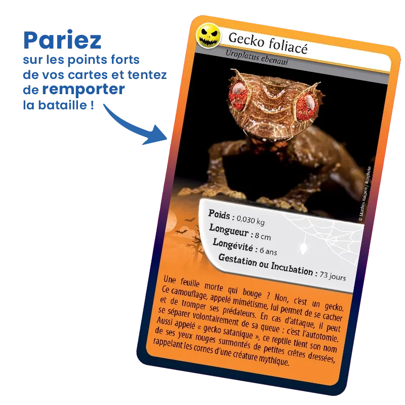 defis-nature-meme-pas-peur- (3).webp