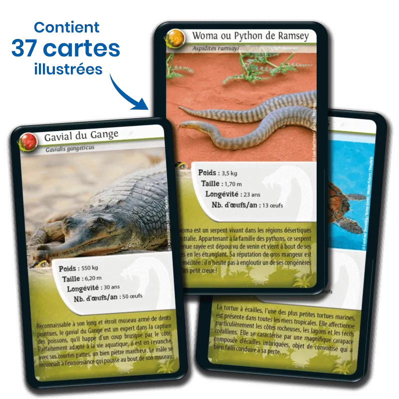 defis-nature-reptiles (4).webp