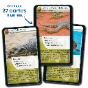 defis-nature-reptiles (4).webp