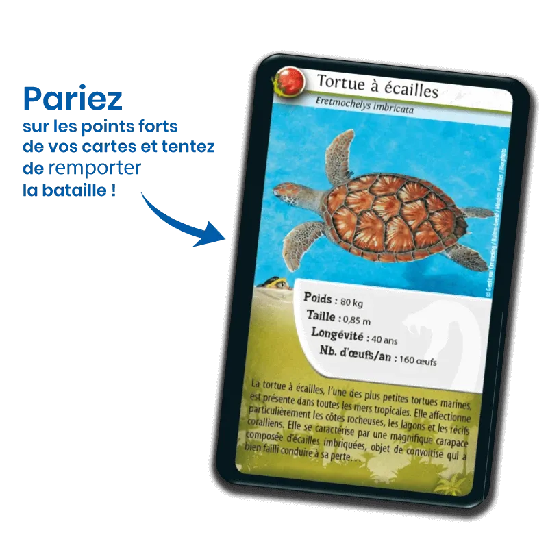 defis-nature-reptiles (3).webp