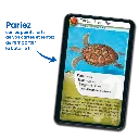 defis-nature-reptiles (3).webp