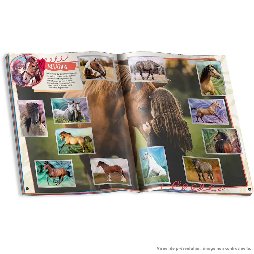 bundle005550b5boxabf_4.webp