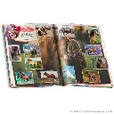 bundle005550b5boxabf_4.webp