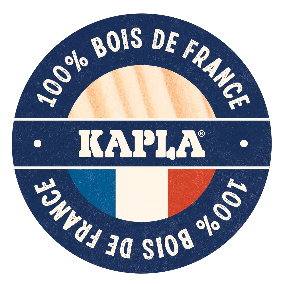 kapla-200 (2).webp