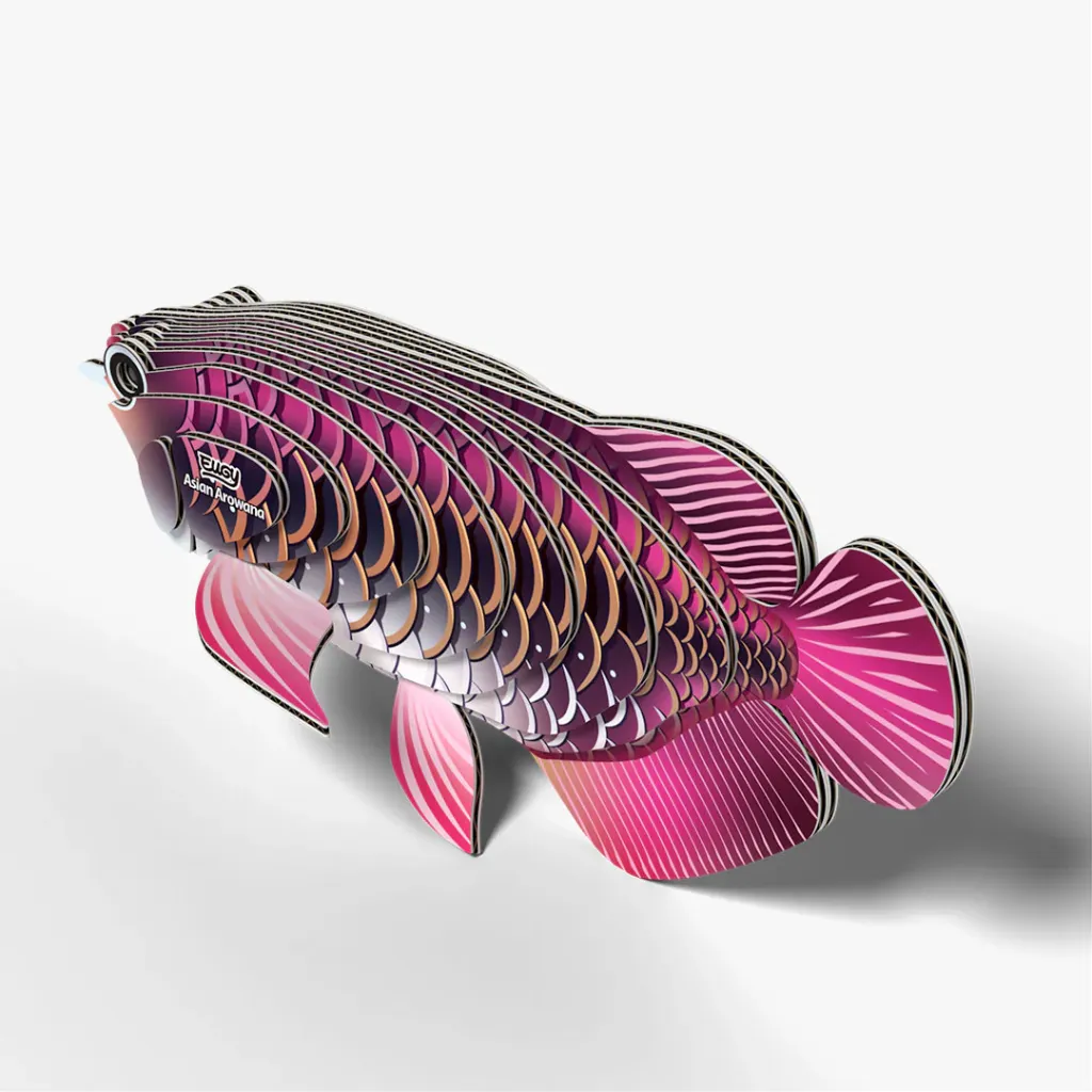 118_Asian-Arowana-4_2025.08.webp