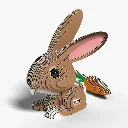071_Rabbit-2_2025.08.webp
