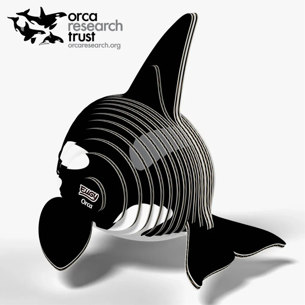 020_Orca-4_2025.08.webp