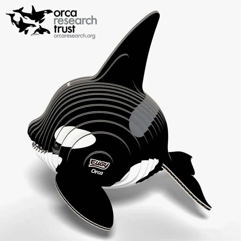 020_Orca-3_2025.08.webp