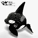020_Orca-3_2025.08.webp