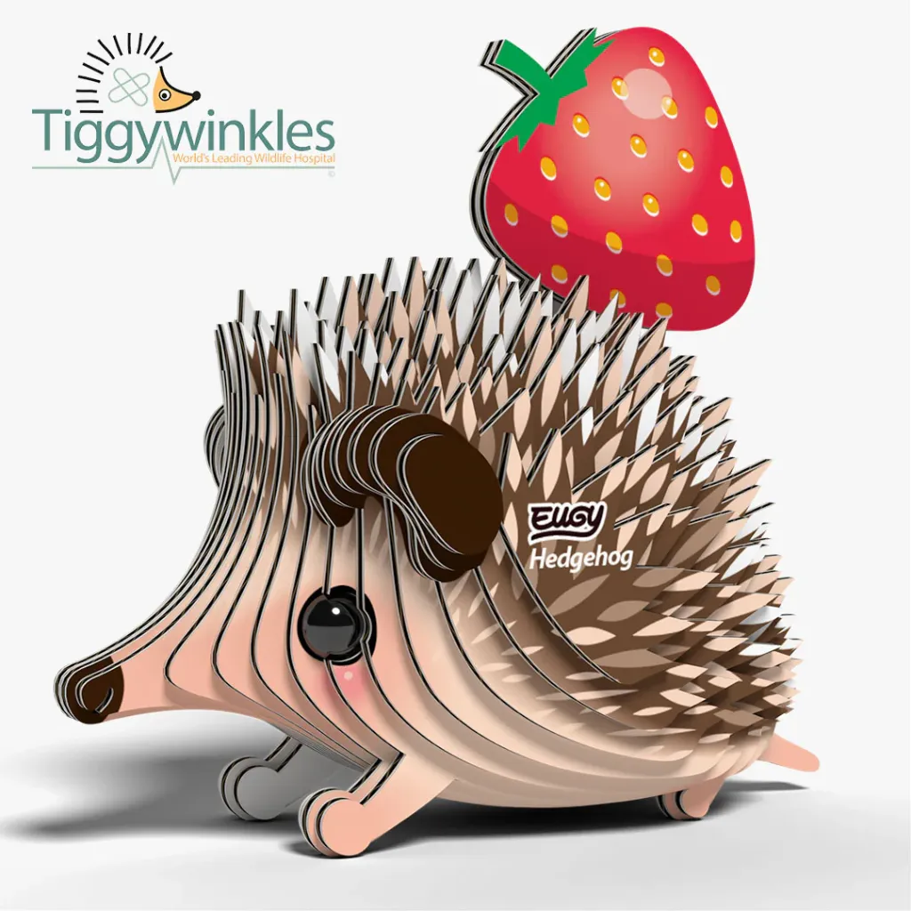 026_Hedgehog-2_2025.08.webp
