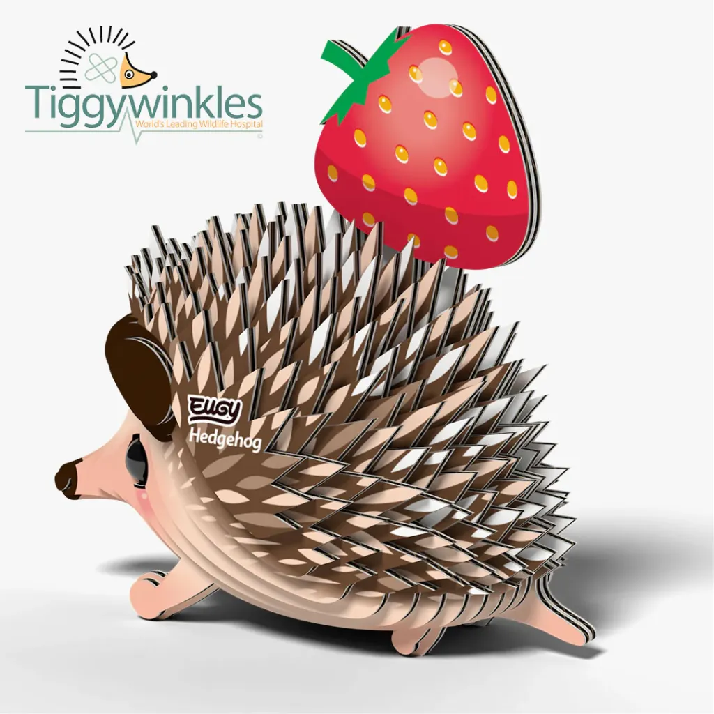 026_Hedgehog-4_2025.08.webp