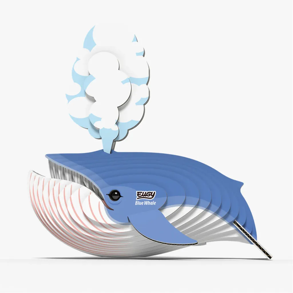 066_Blue-Whale-3_2025.08.webp