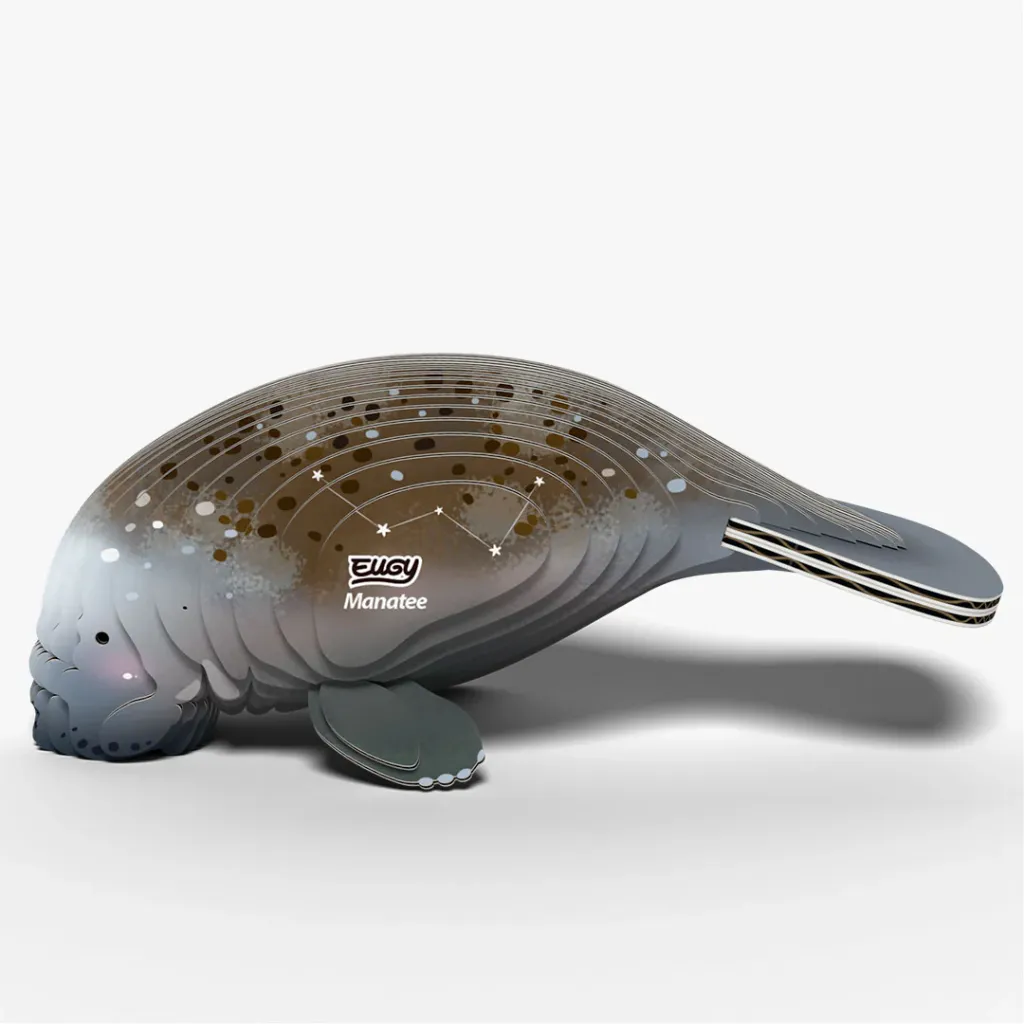 122_Manatee-3_2025.08.webp
