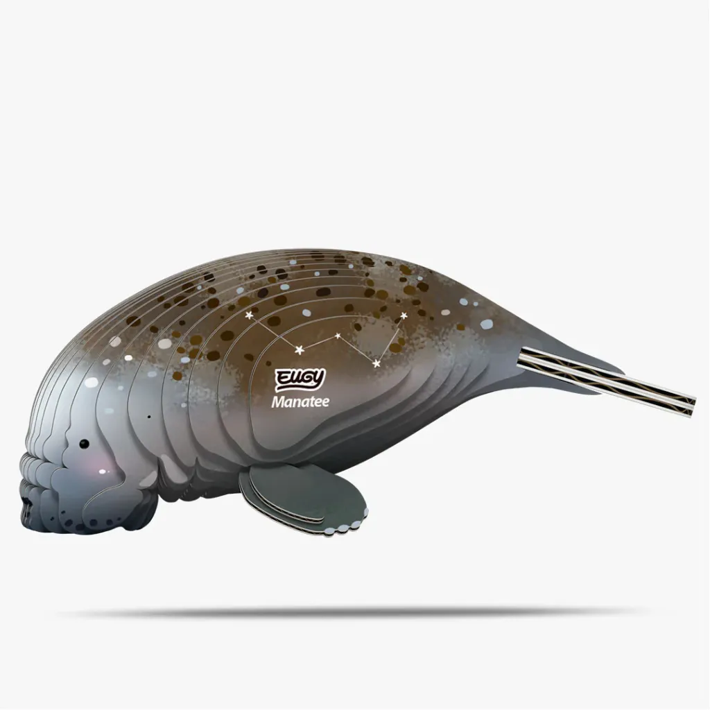 122_Manatee-1_2025.08.webp