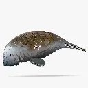 122_Manatee-1_2025.08.webp