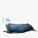 092_Sperm-Whale-2_2025.08.webp