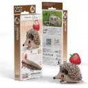 Eugy 026: Hedgehog