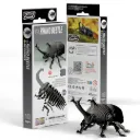 Eugy 113: Rhino Beetle