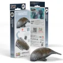 Eugy 122: Manatee