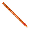Legami Erasable Pen - Tiger *Grrreat Adventures*