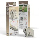 Eugy 018: Schaap