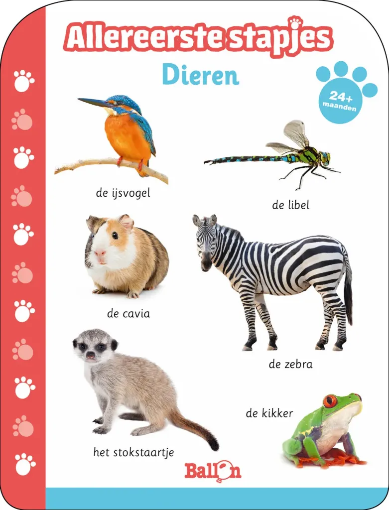 Allereerste stapjes - Dieren