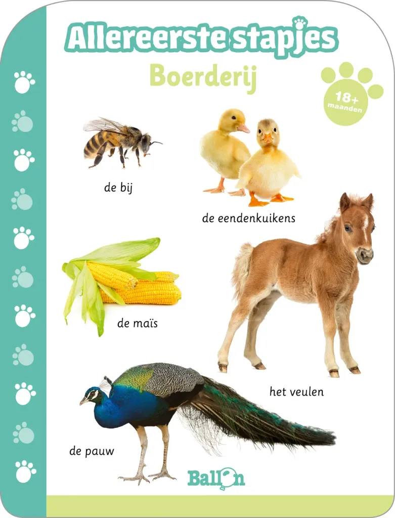 Allereerste stapjes - Boerderij