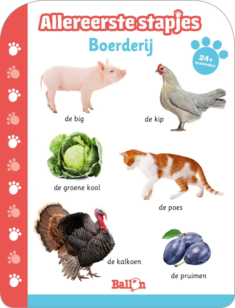 Allereerste stapjes - Boerderij