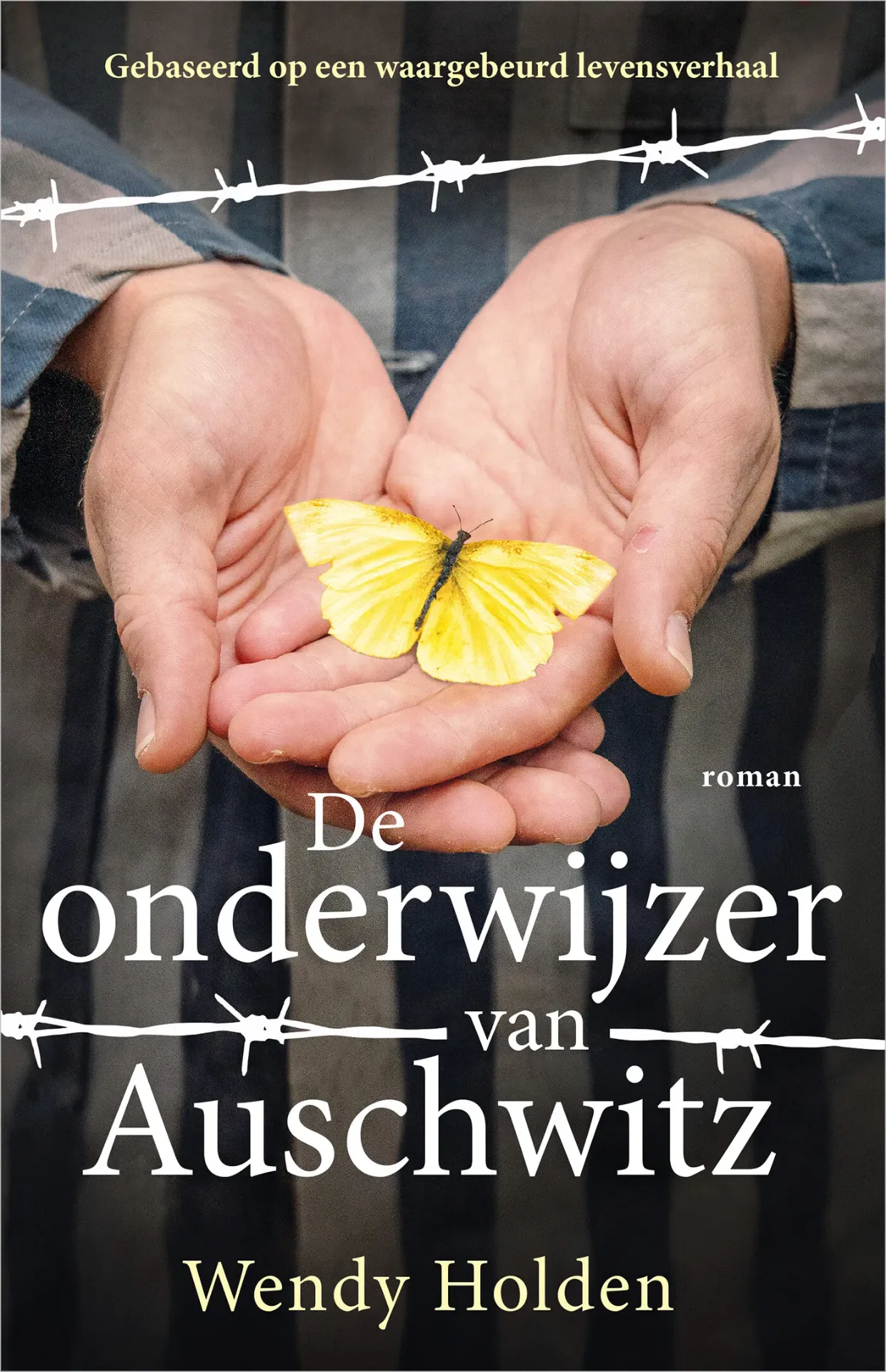 De onderwijzer van Auswitz