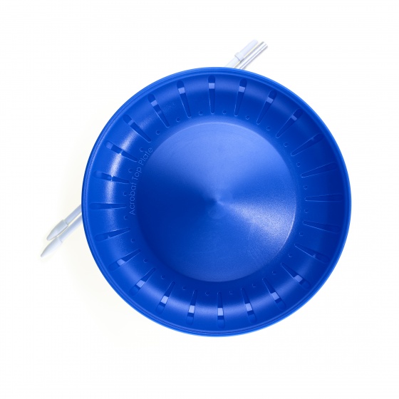 [515842] Acrobat - Top Spinning Plate  Blue