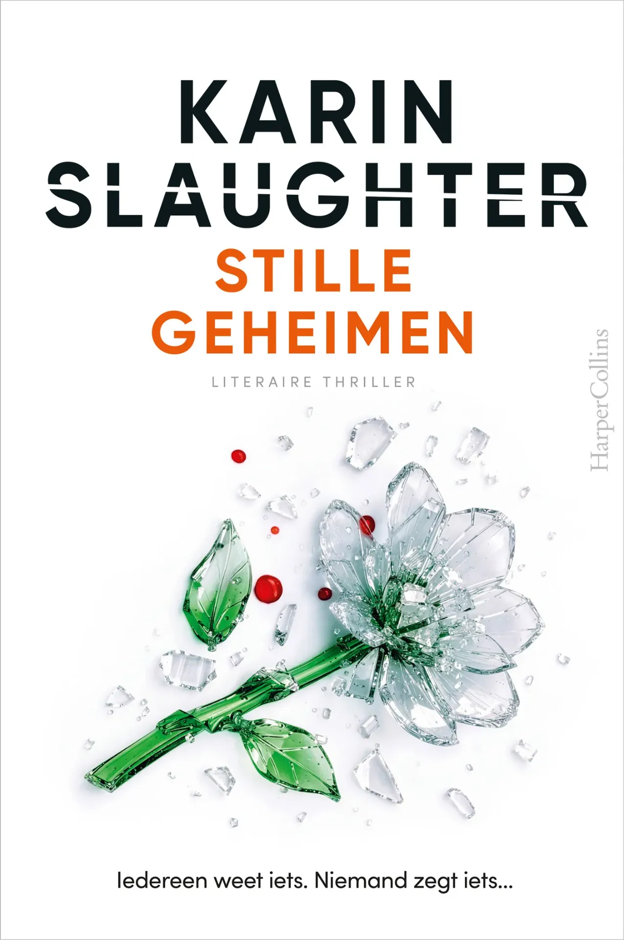 Stille geheimen * Karin Slaughter