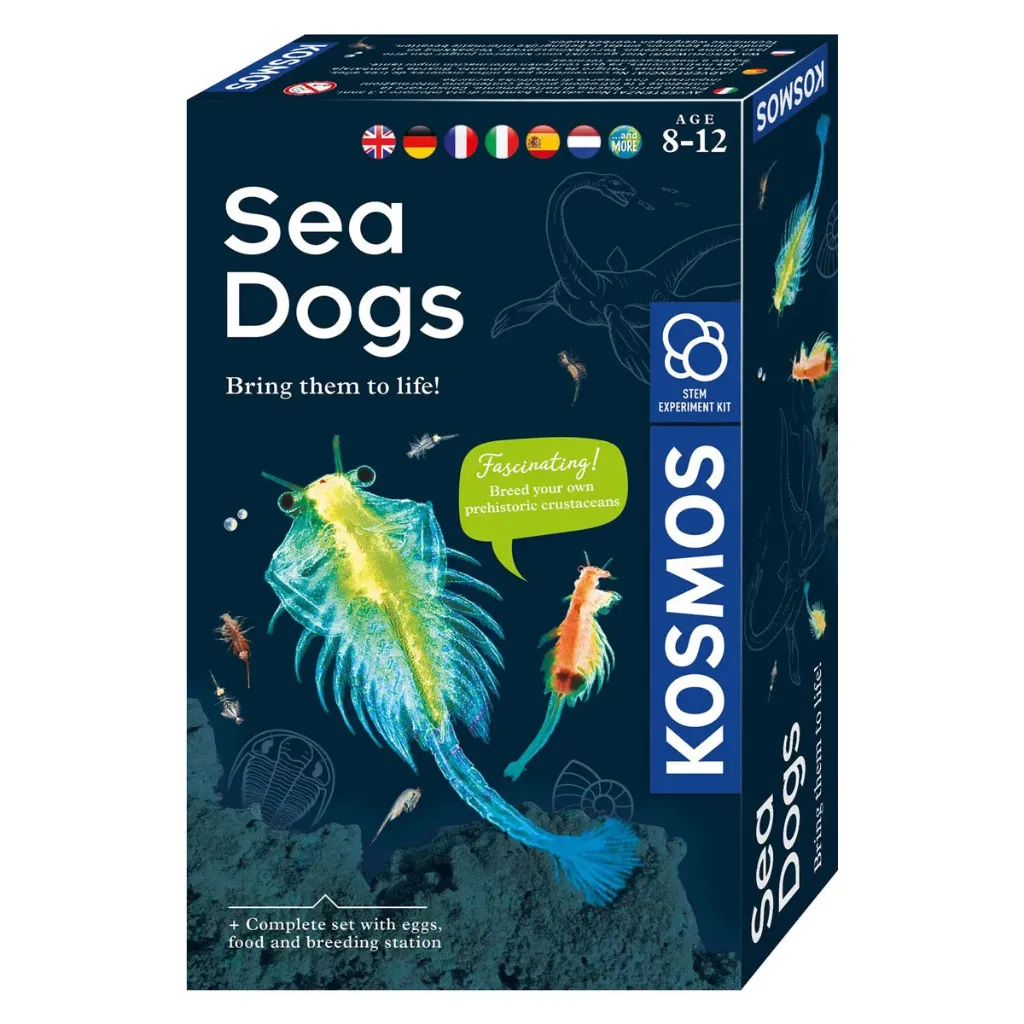 Kosmos - Seadogs NL/FR 8+